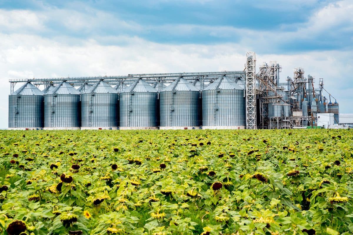 Processing plant beside a sunflower field, for environmental management